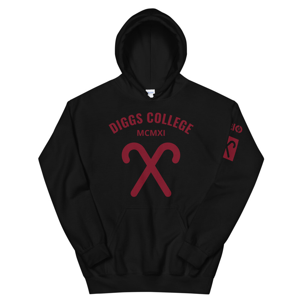 DIGGS COLLEGE Hoodie, Color: Black, Size: S