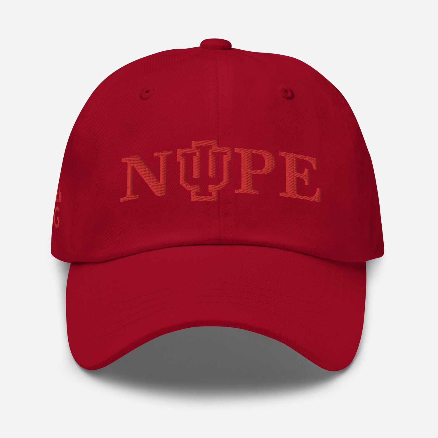 NUPE Can&#39;t Teach Swagg Dad hat