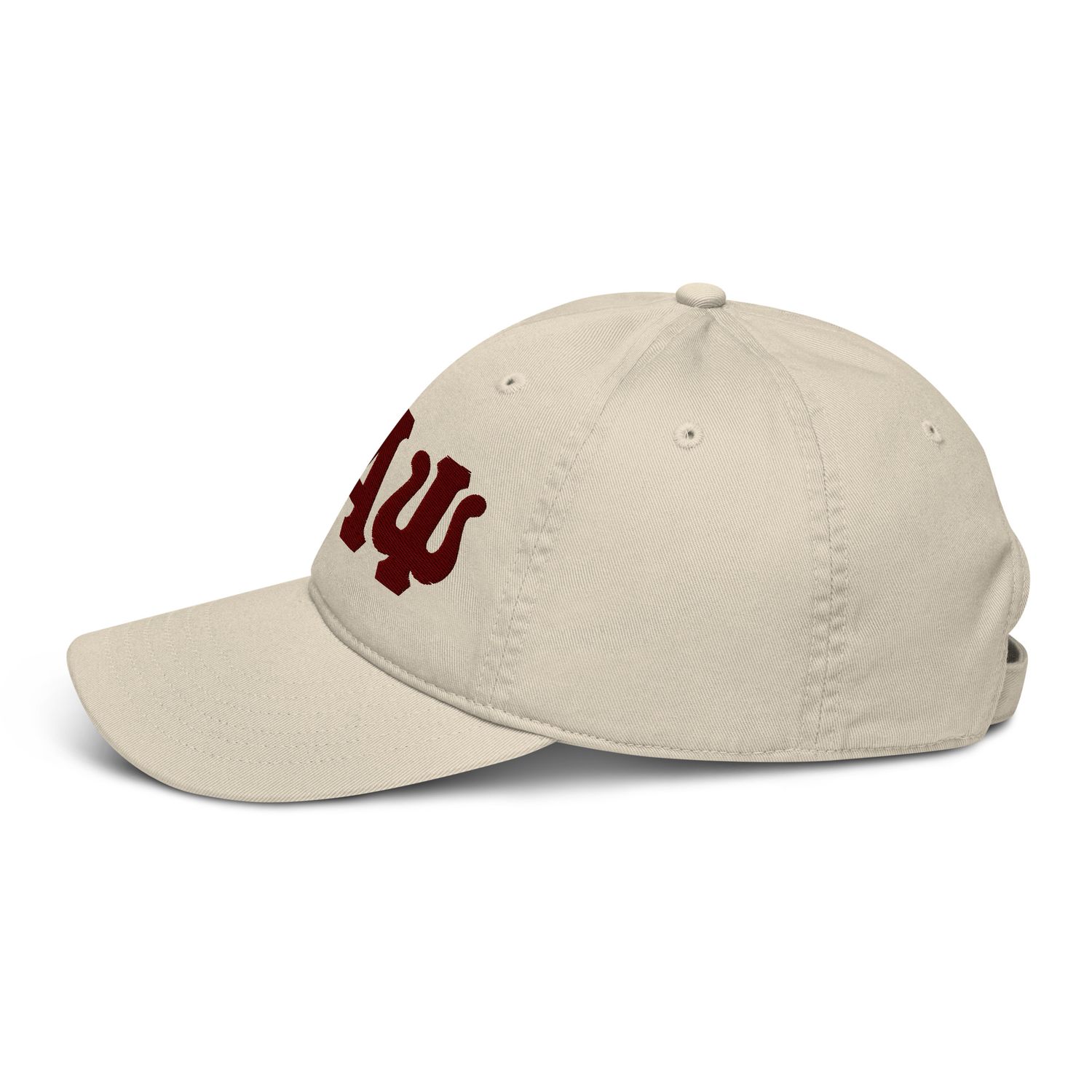 KAPsi Organic Dad Hat