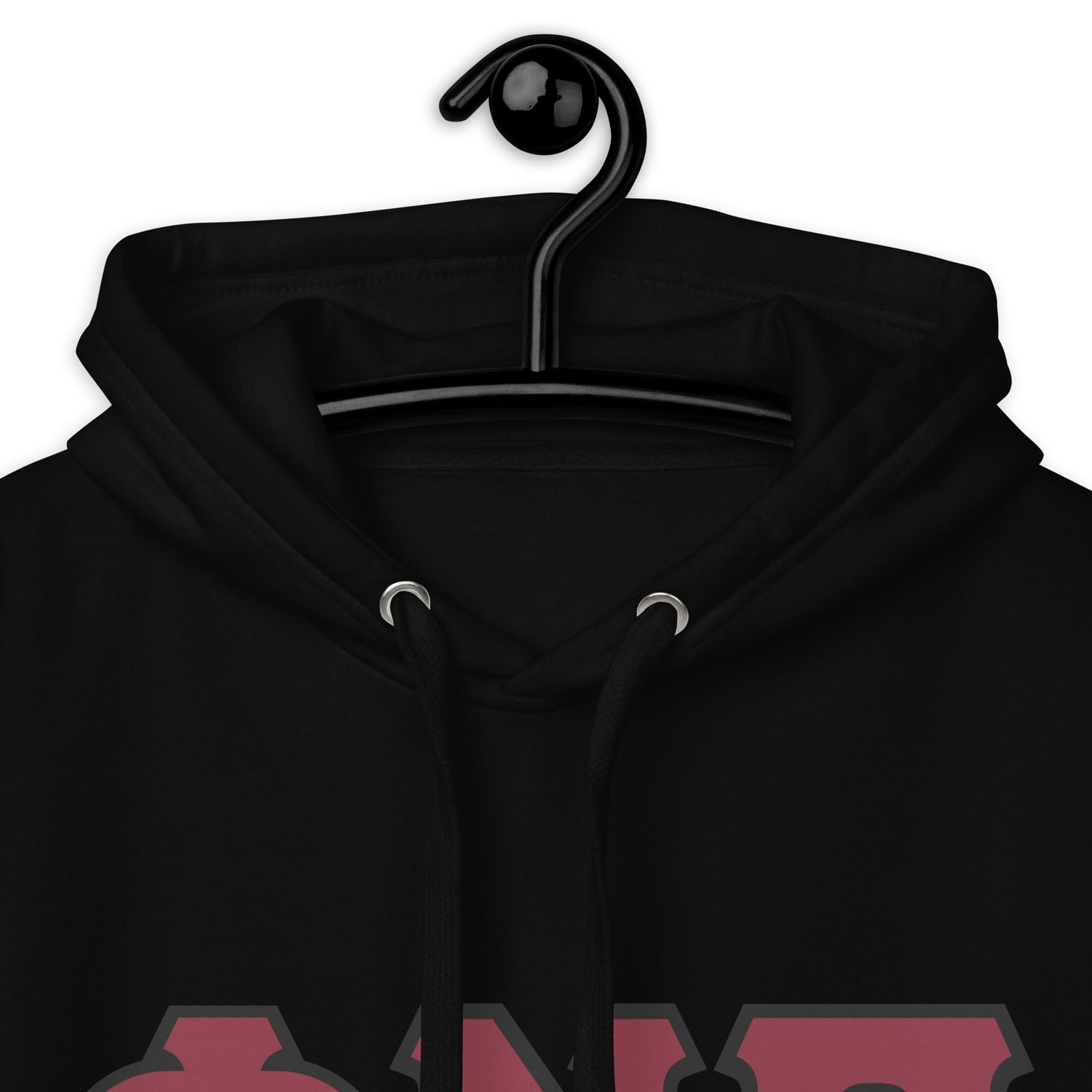 Phi Nu Pi w/ black outline Hoodie