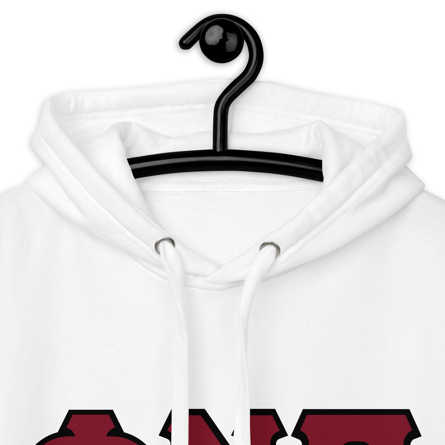 Phi Nu Pi w/ black outline Hoodie