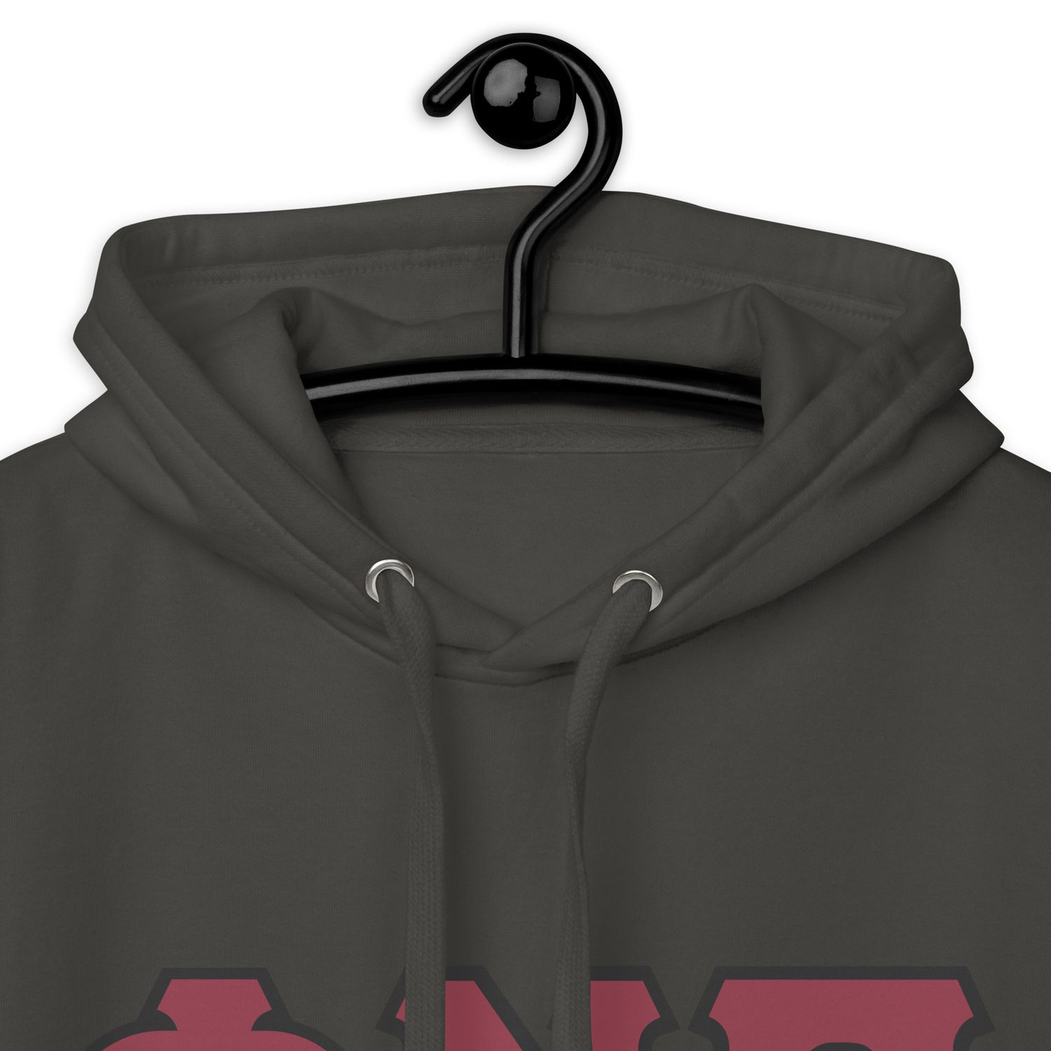 Phi Nu Pi w/ black outline Hoodie