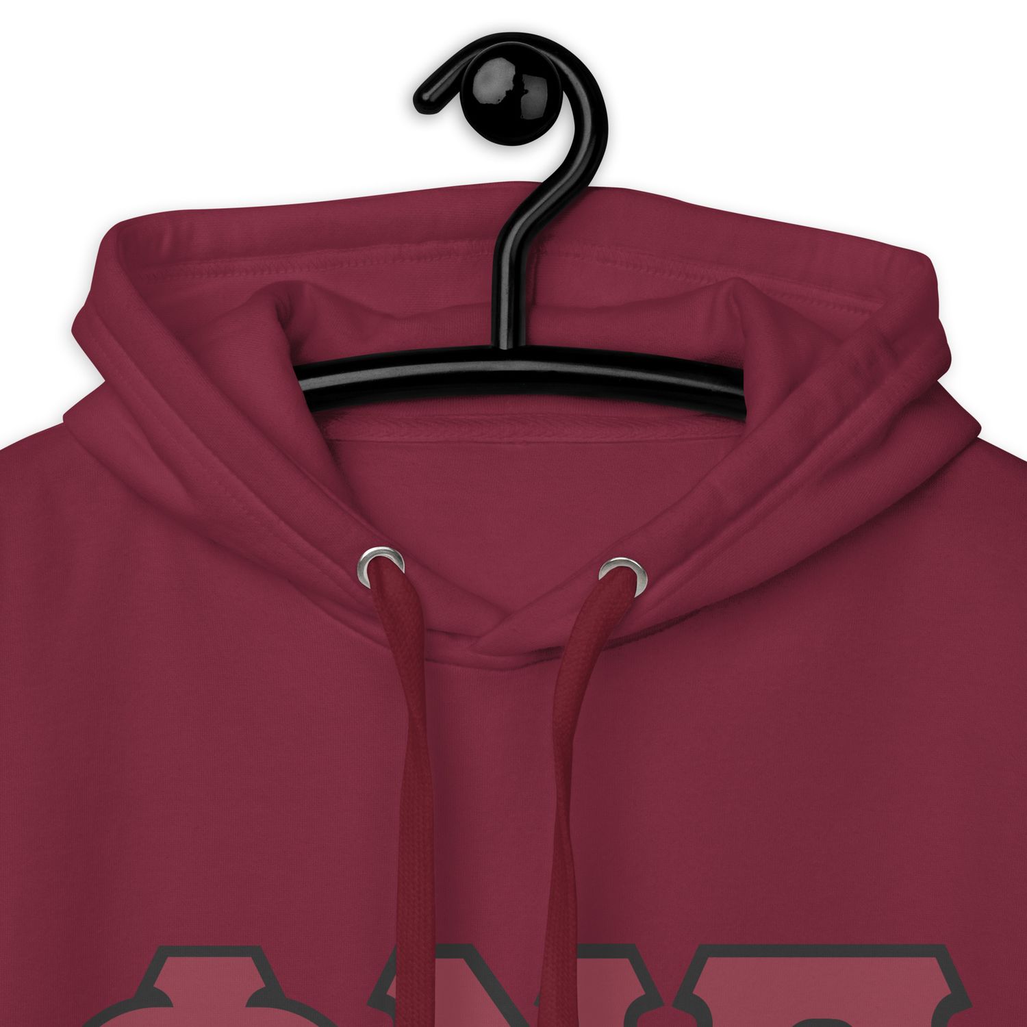 Phi Nu Pi w/ black outline Hoodie