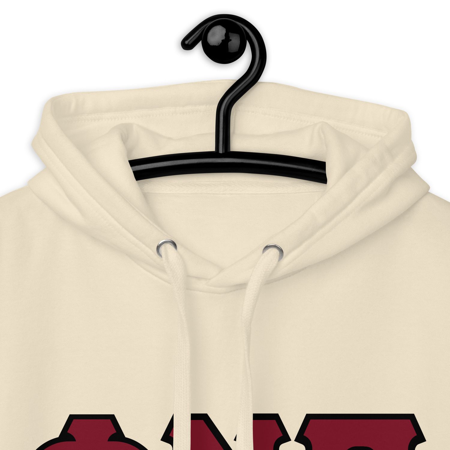 Phi Nu Pi w/ black outline Hoodie