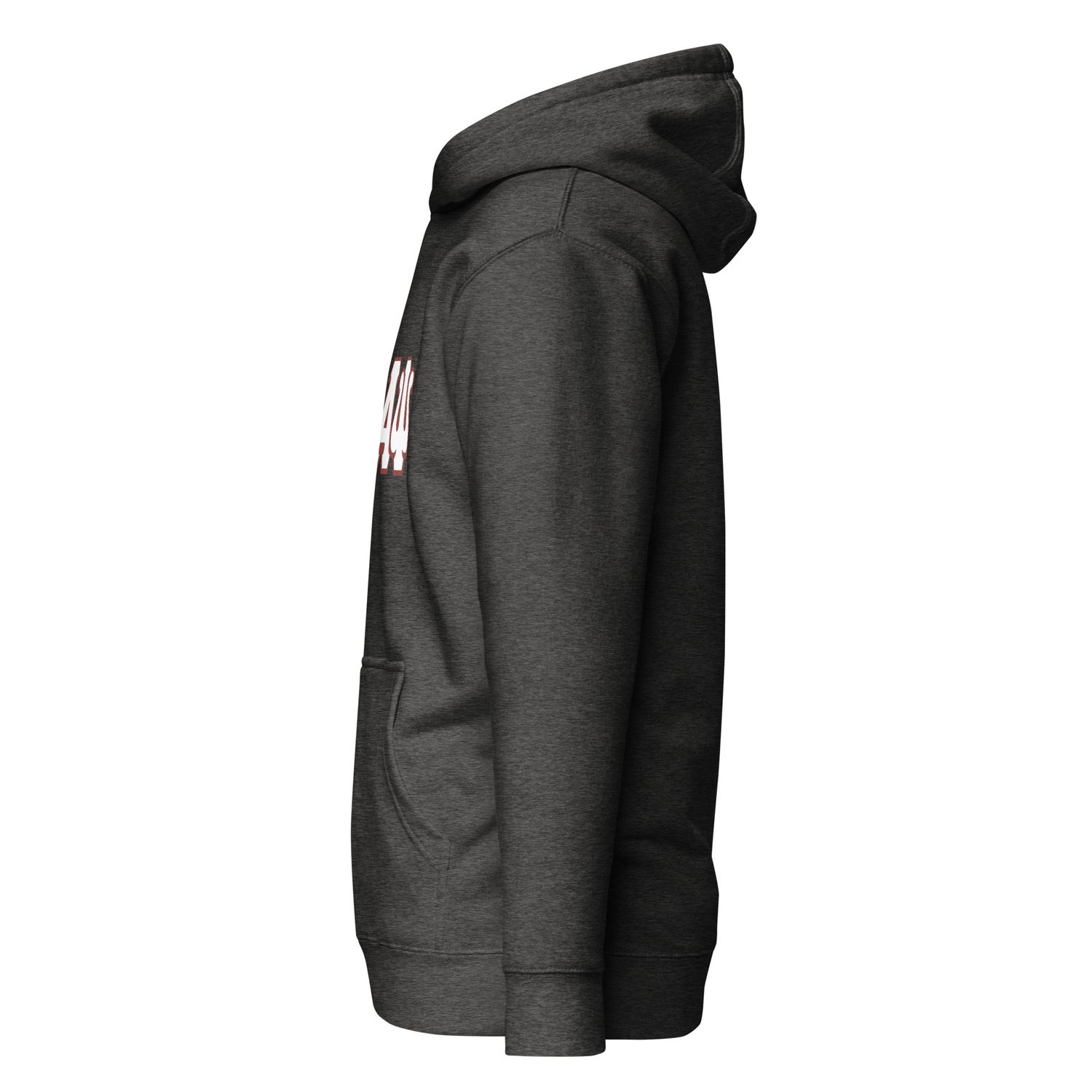 KAPsi Double Letter Hoodie