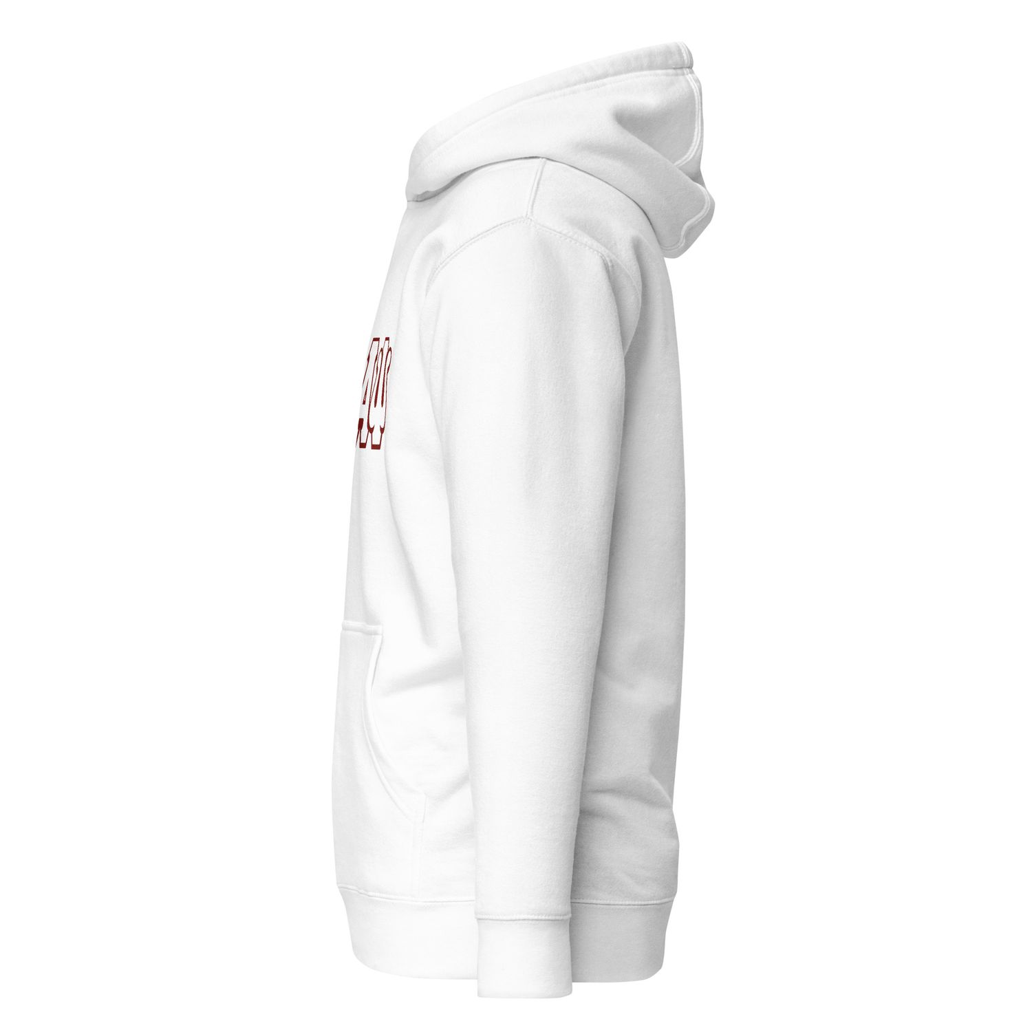KAPsi Double Letter Hoodie