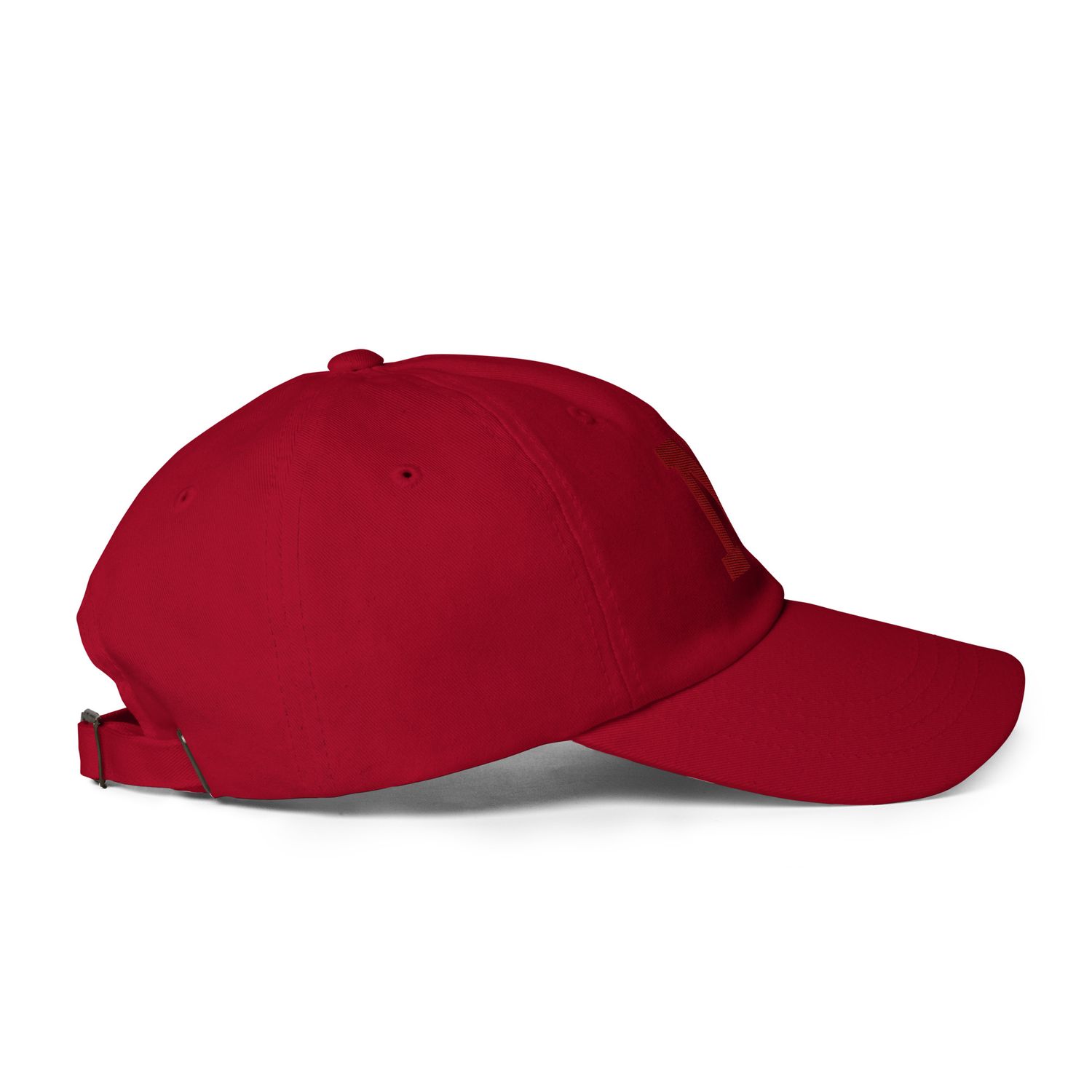 N For Nupe Dad hat