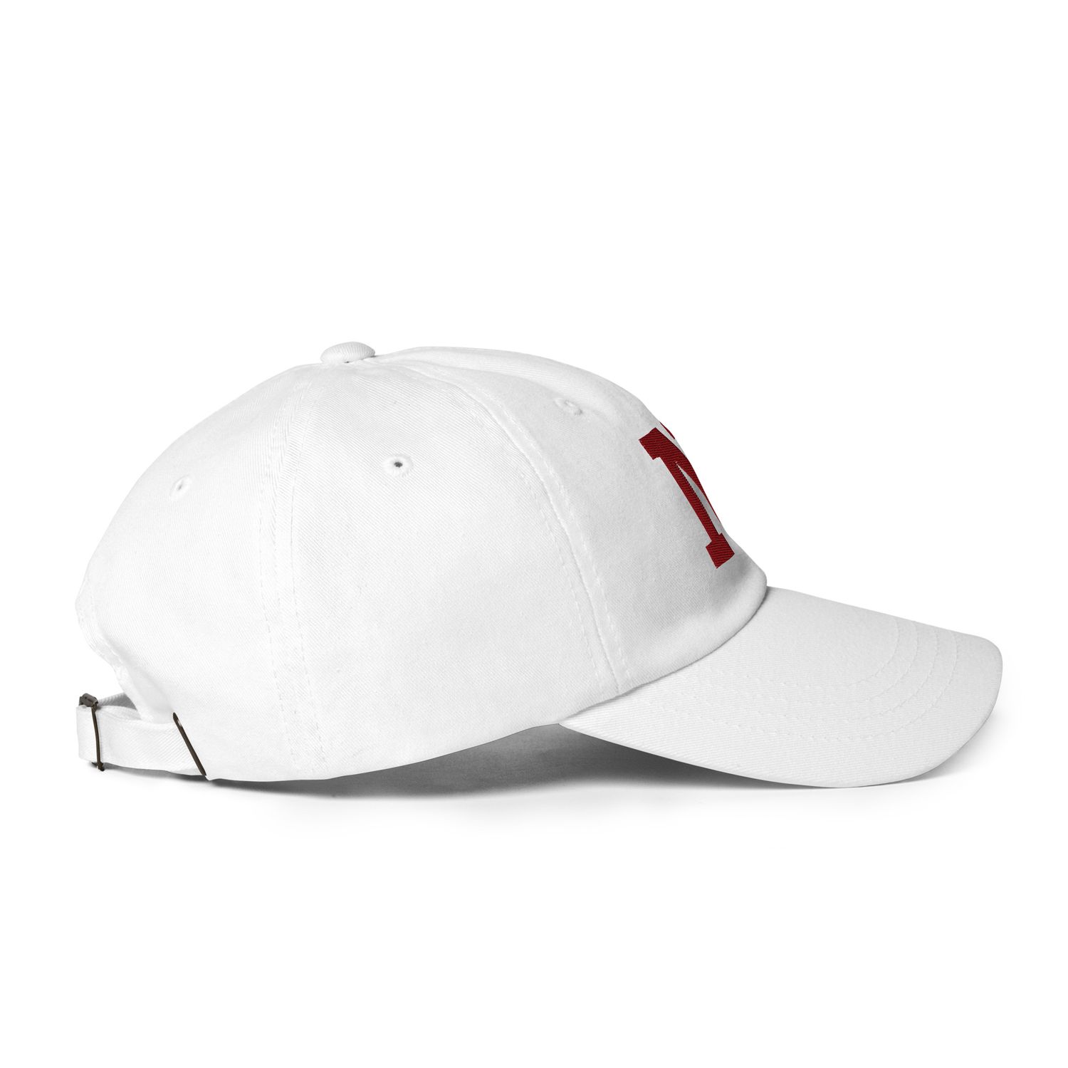 N For Nupe Dad hat
