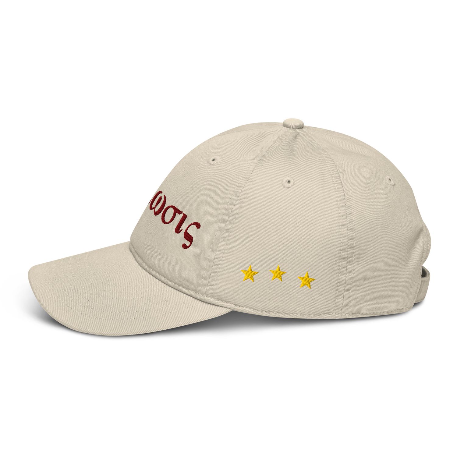 Kappa Greek Phrase Organic Dad Hat
