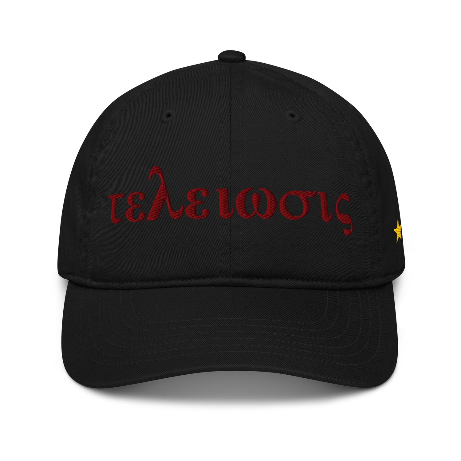 Kappa Greek Phrase Organic Dad Hat