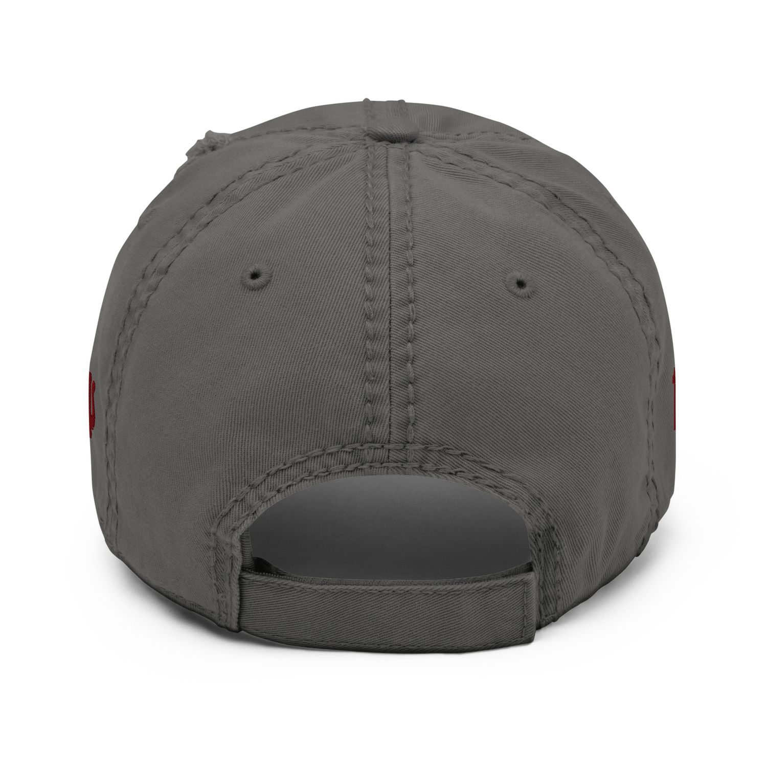 Zeta Delta Distressed Dad Hat