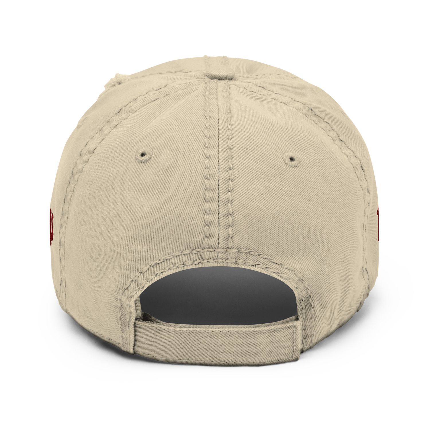 Zeta Delta Distressed Dad Hat