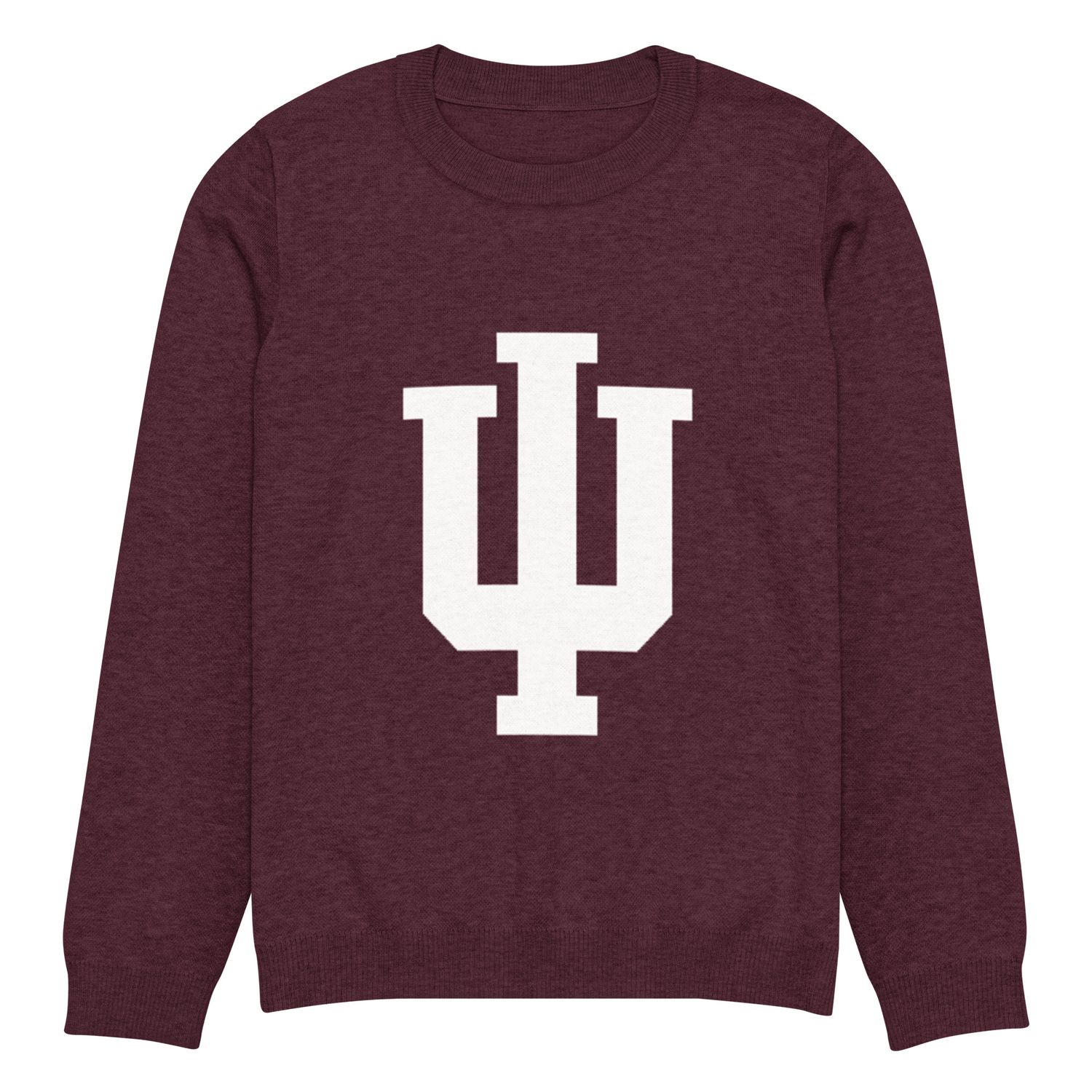 Psi Knitted crew neck sweater