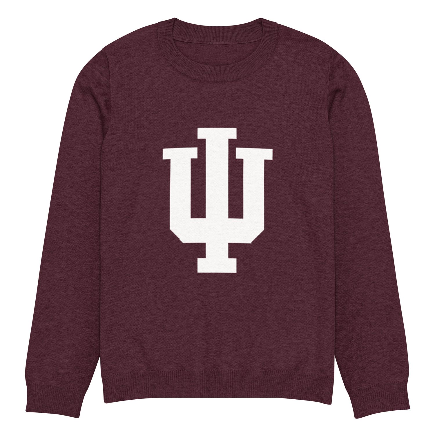 Psi Knitted crew neck sweater