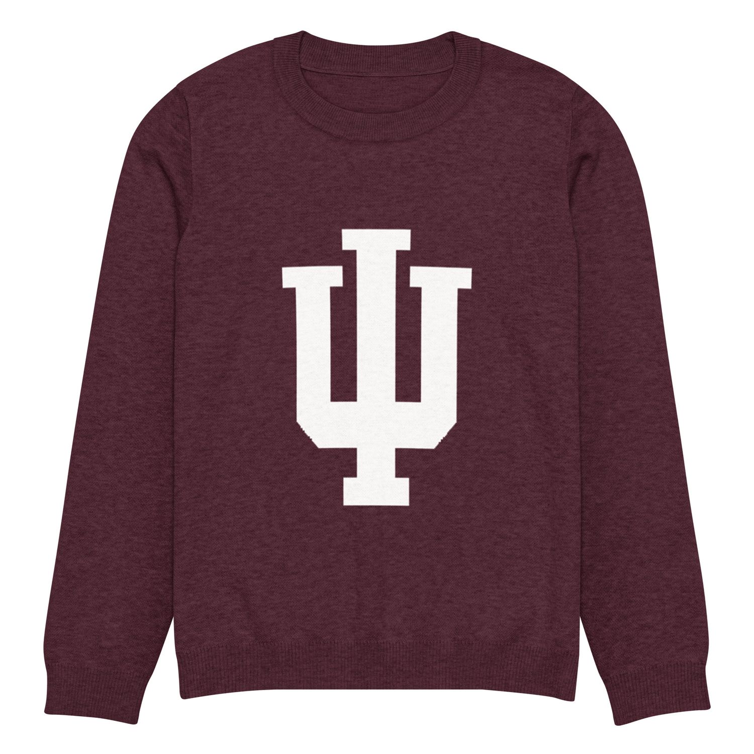 Psi Knitted crew neck sweater