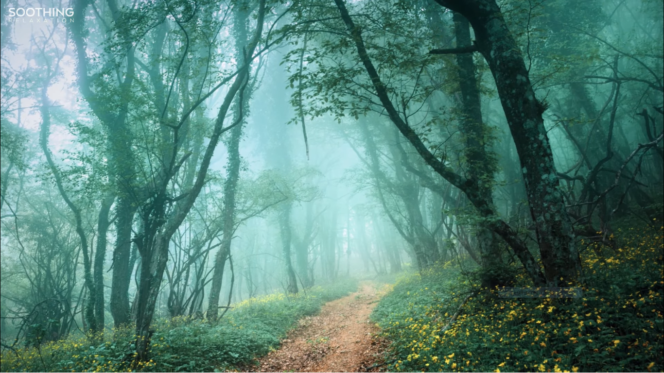 Beautiful Relaxing Guided Meditation Stop Smoking Self Hypnosis (Quit Now Session)