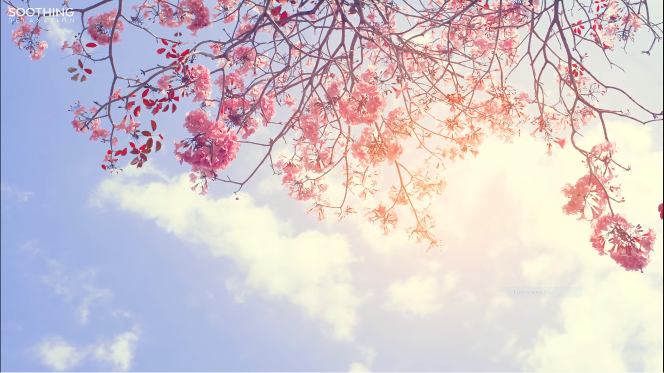 Beautiful Relaxing Guided Meditation Stop Smoking Self Hypnosis (Quit Now Session)