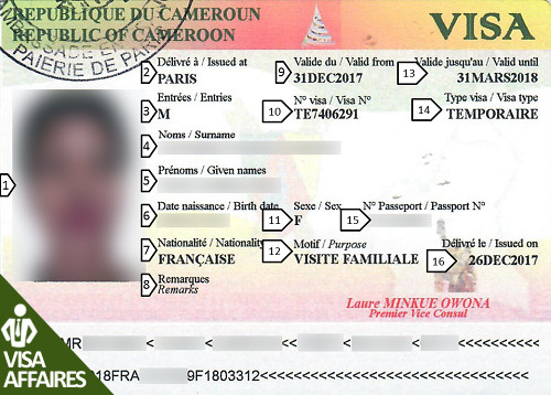 Visa Cameroun AFFAIRES | Officiel en 3 jrs