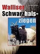 Buch Walliser Schwarzhalsziege