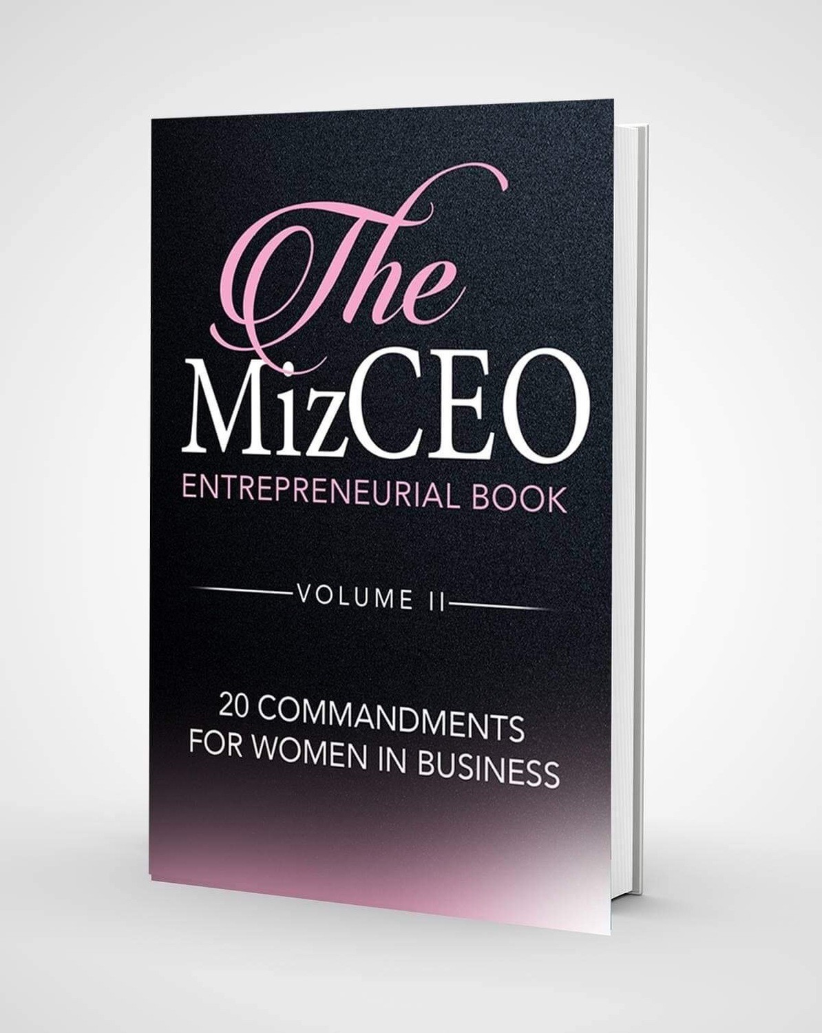 The Miz CEO Entrepreneurial Book -Volume II
