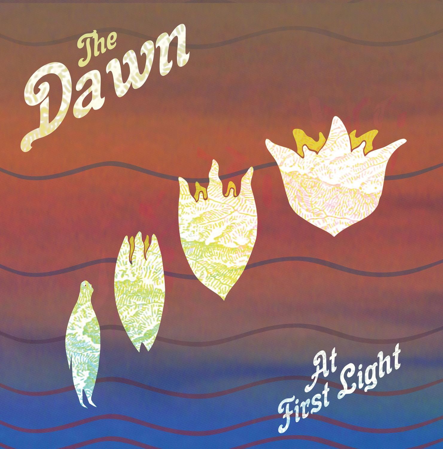 "At First Light" Vinyl