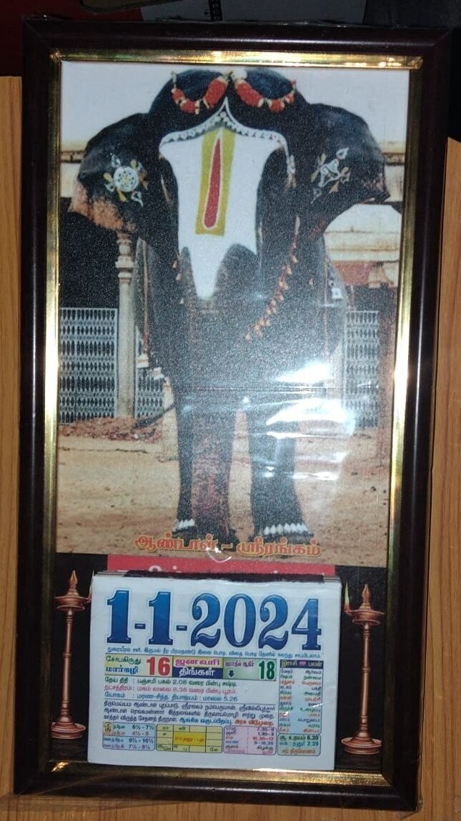 Srirangam Andal Yaanai Gold frame 2024   calendar
