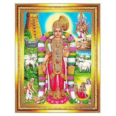 Thiruppavai Vyakhyanams / Tiruppavai  Vyakhyanams ( 4 urai ) with Vivaranam - A4 size , Printed Book ; திருப்பாவை ஈராயிரப்படி,மூவாயிரப்படி, நாலாயிரப்படி,ஆறாயிரப்படி வ்யாக்யானங்கள் மற்றும் ஸ்வாபதேசம்.