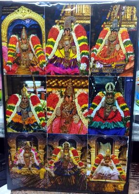 MDF Lamination photo cut out standee & Wall hanging 9 Thayars - 9 Different Alankarams of Srirangam Thayar - Sri Ranganachiyar 12 x 8 Inches