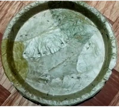 Siali Leaf Plates / Stitched Sal Leaf Plates 8 Inches Diameter - Pack of 20 மந்தாரை இலை தையல் தட்டுகள்