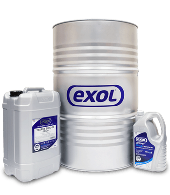 Sliding Vane Compressor used in biogas digestion plants. 