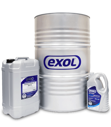 Sliding Vane Compressor used in biogas digestion plants. 