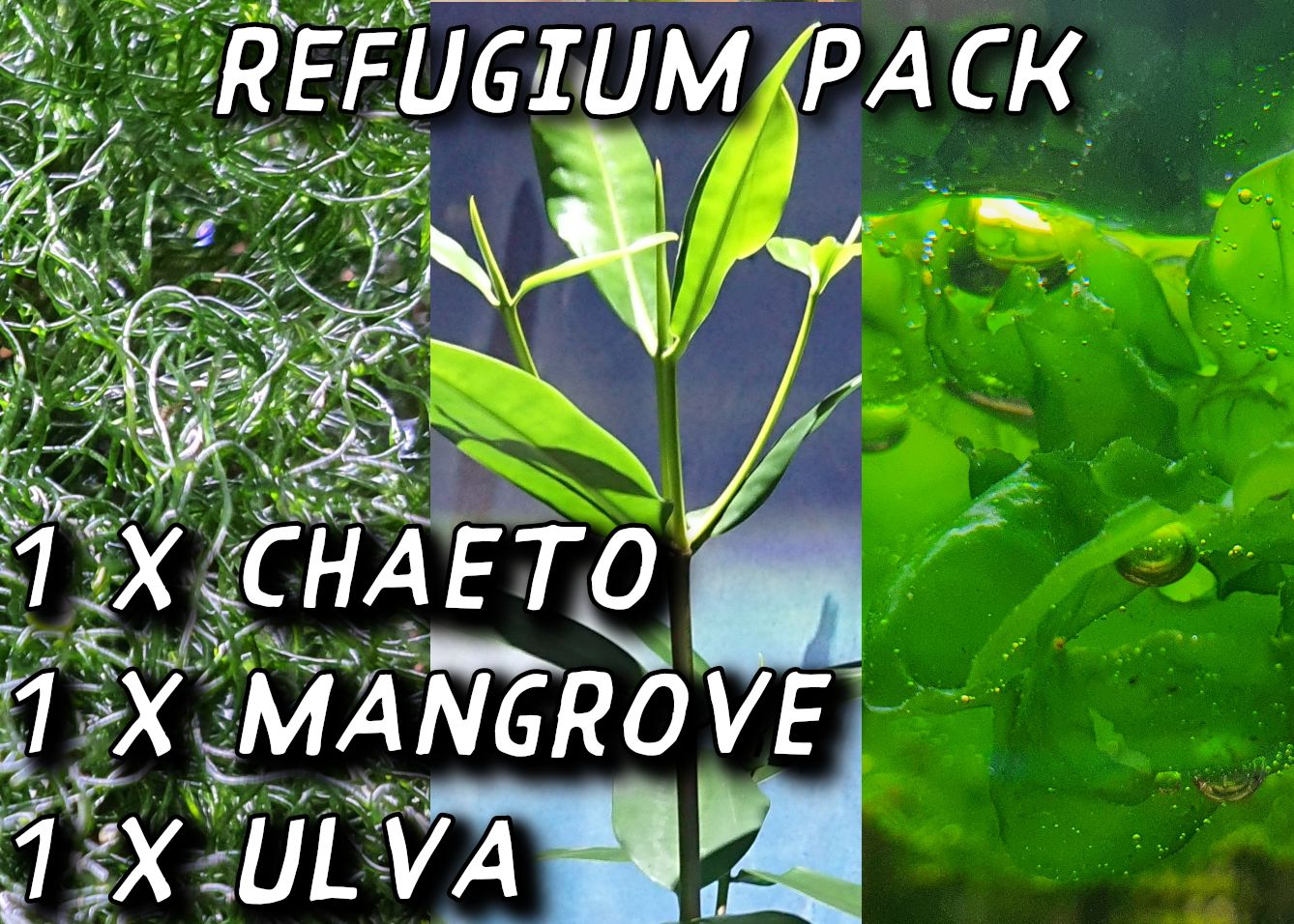 Refugium Pack Refugium Pack