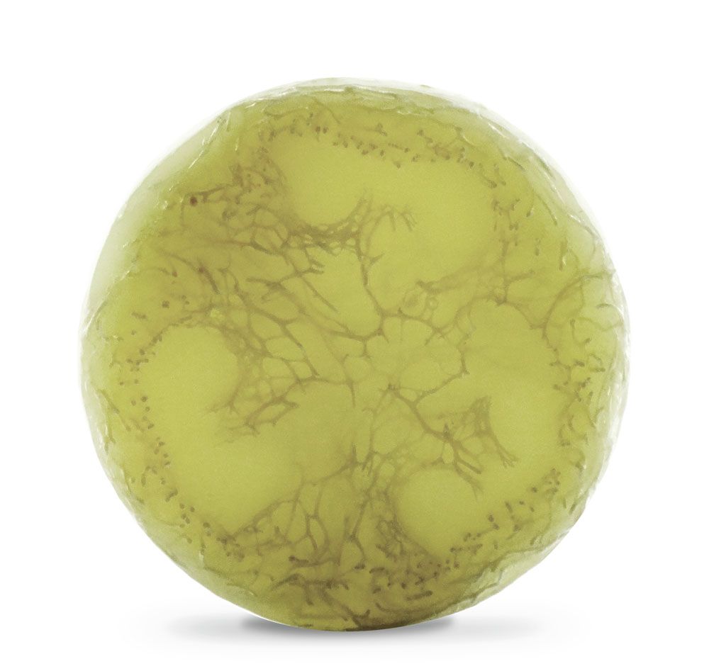 Ayuna Spirulite Body Soap