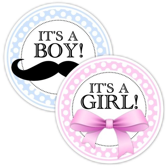 Pink and Blue Gender Reveal Party Stickers, Baby Shower Stickers