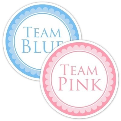 Team Pink and Team Blue Gender Reveal Party Stickers