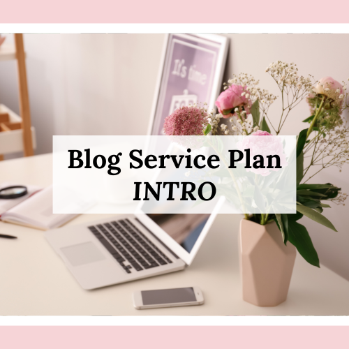 Blog Service Plan - INTRO Recurring