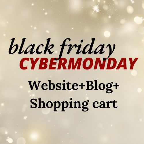Business Website + Blog + Shopping Cart - Black Friday / Cyber Monday Sale