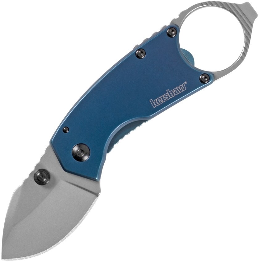 Kershaw Antic Framelock