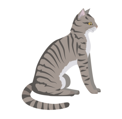 TOYGER