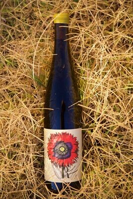 2023 Riesling Anderson Valley Wiley Vineyard