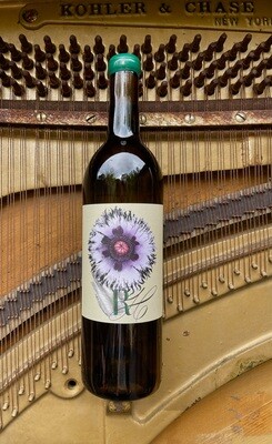 2023 Sauvignon Blanc Mendocino Upton Vineyard