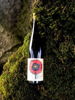 2023 Riesling Anderson Valley Wiley Vineyard