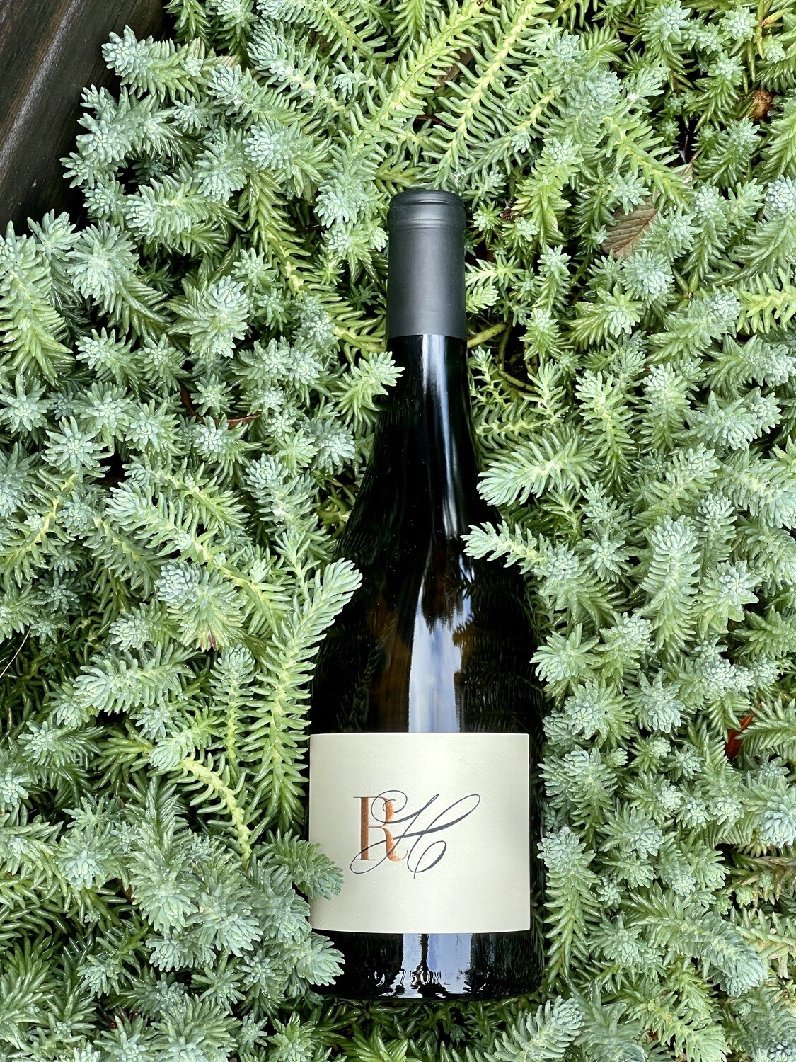2023 Chardonnay Russian River Valley Peugh