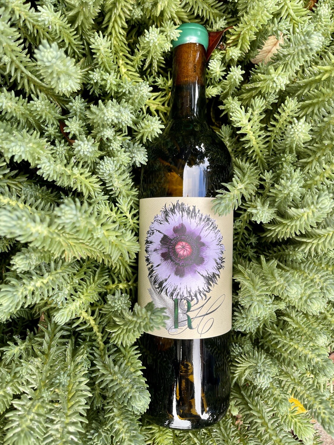 2025 Sauvignon Blanc Mendocino Upton Vineyard