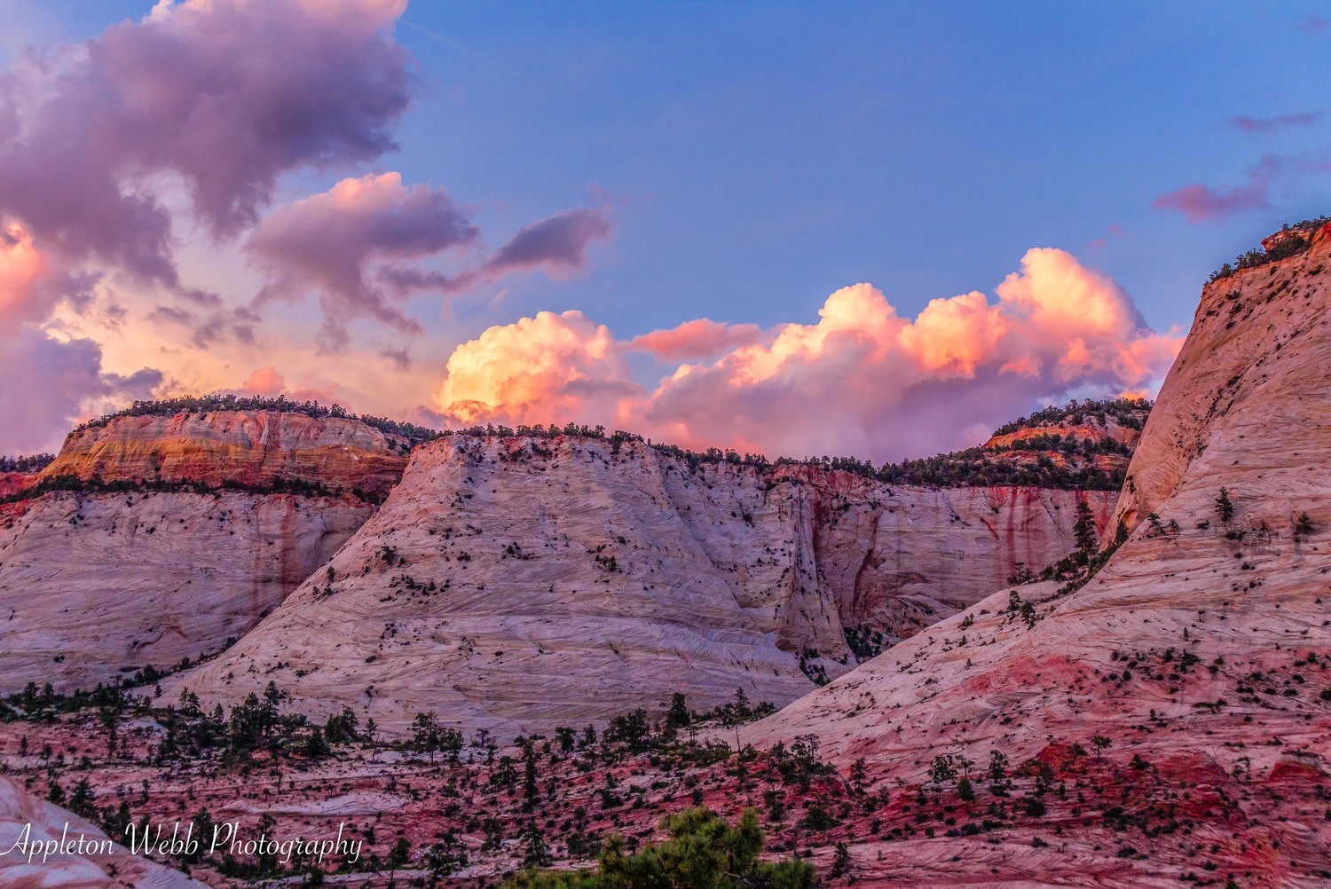 Zion Evening