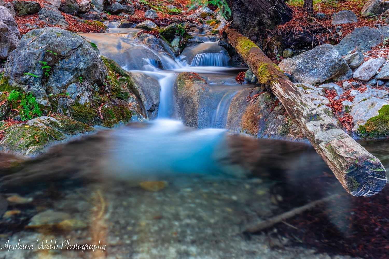 Fall in Big Sur
