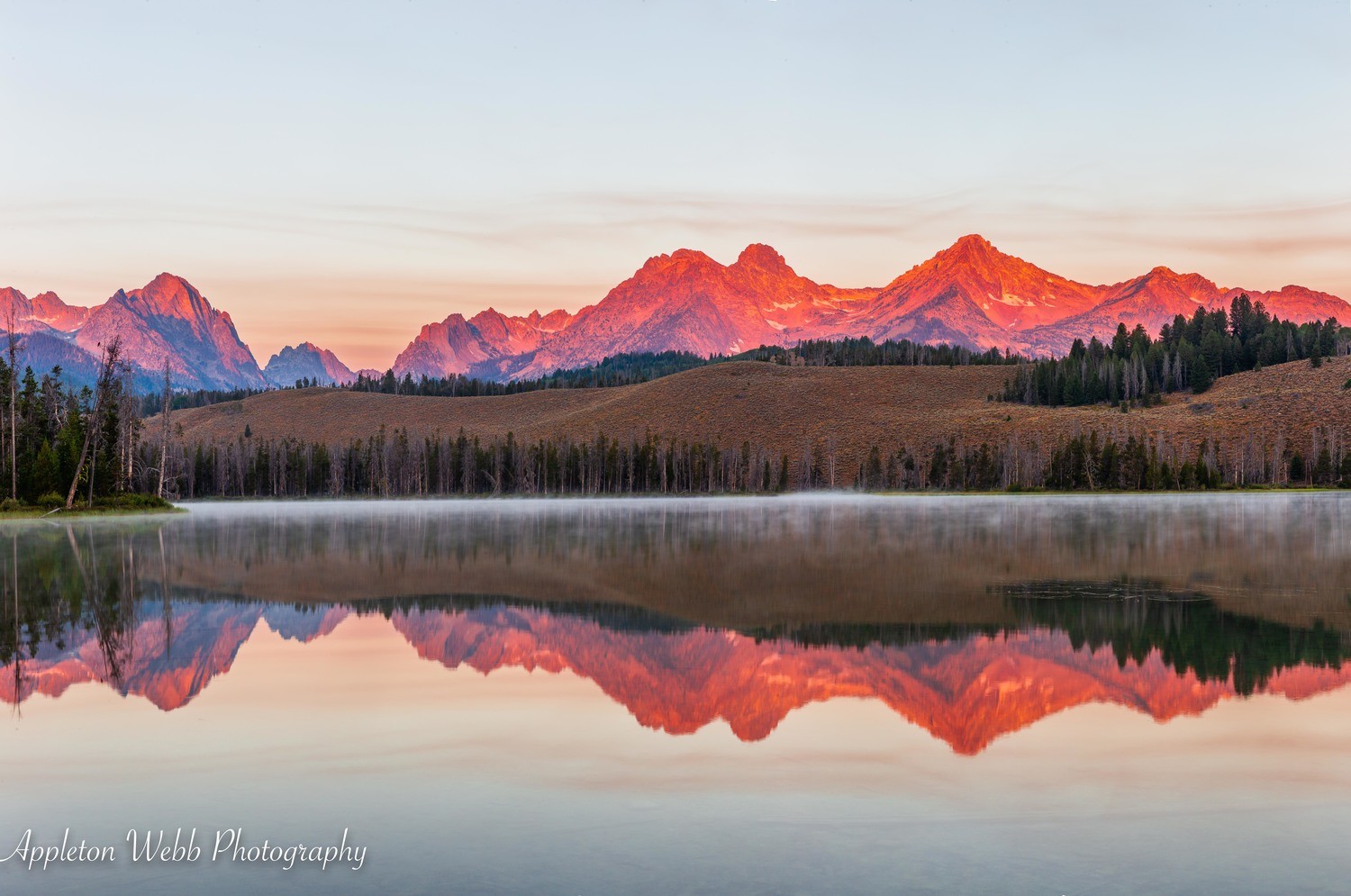 Alpine Reflections