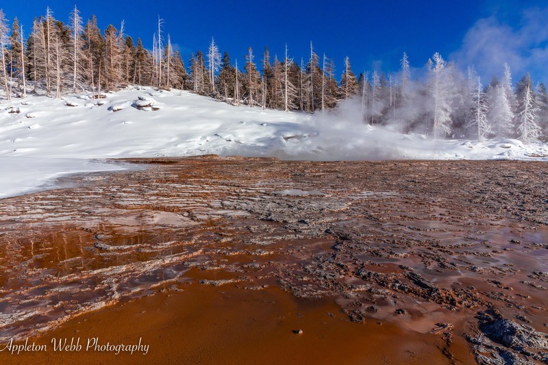 Yellowstone Colors