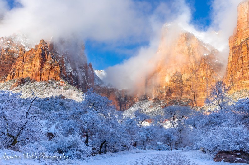 Patriarchs in the morning