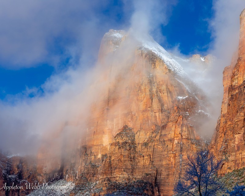 Isaac Emerges from the Mist